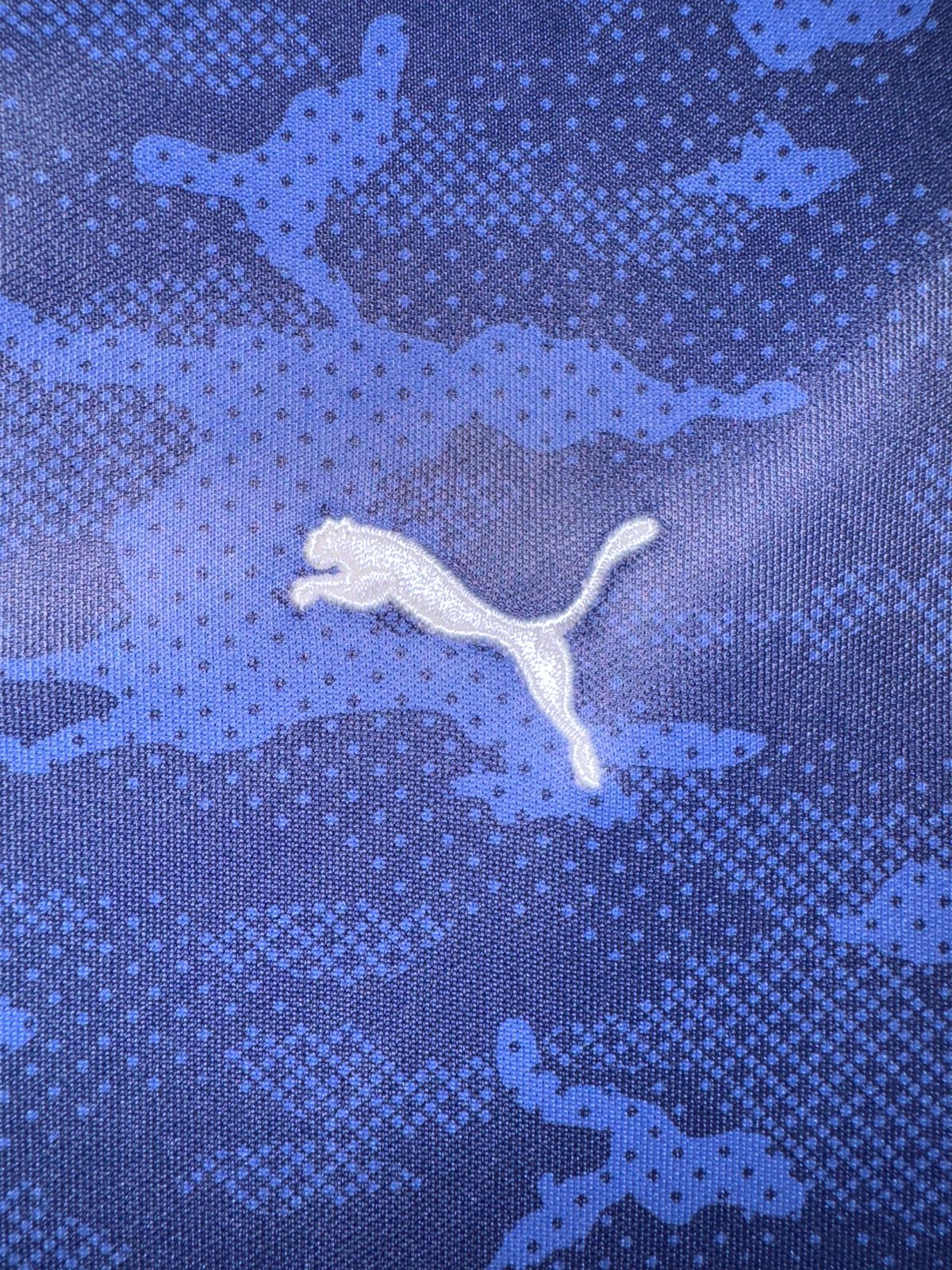 Puma Blue Round Neck - Large