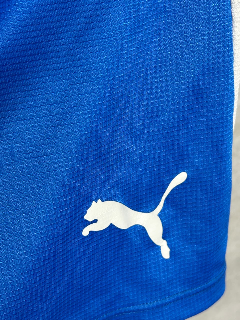Puma Blue - XL