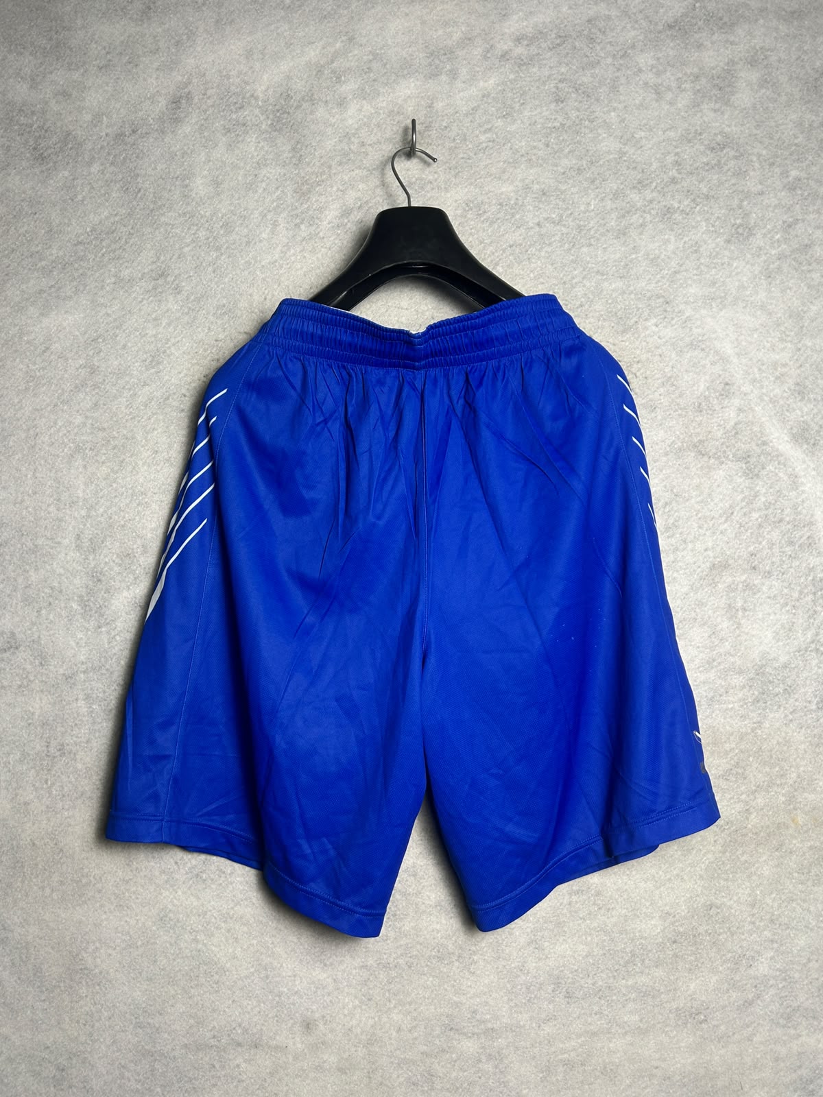 Nike Blue - Large