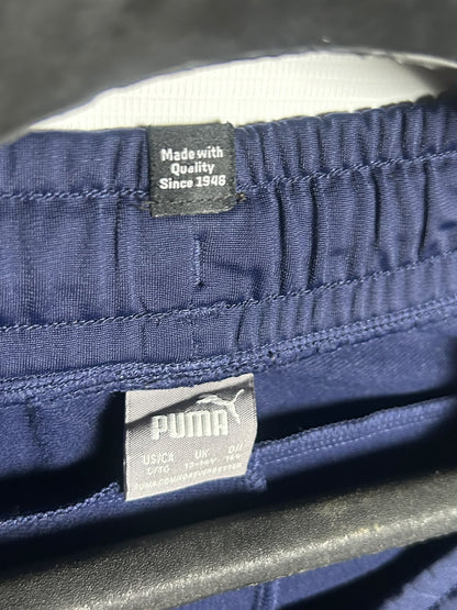 Puma Blue - Large