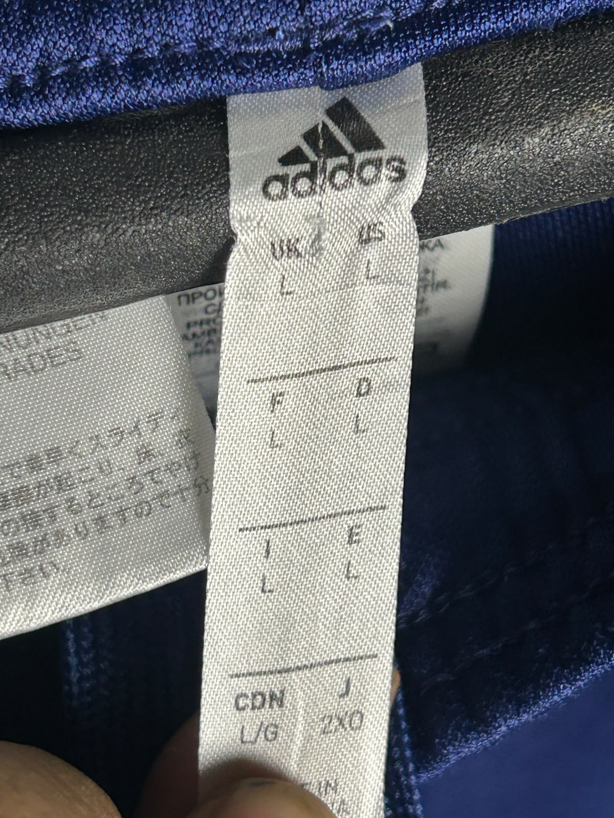 Adidas Blue - Large