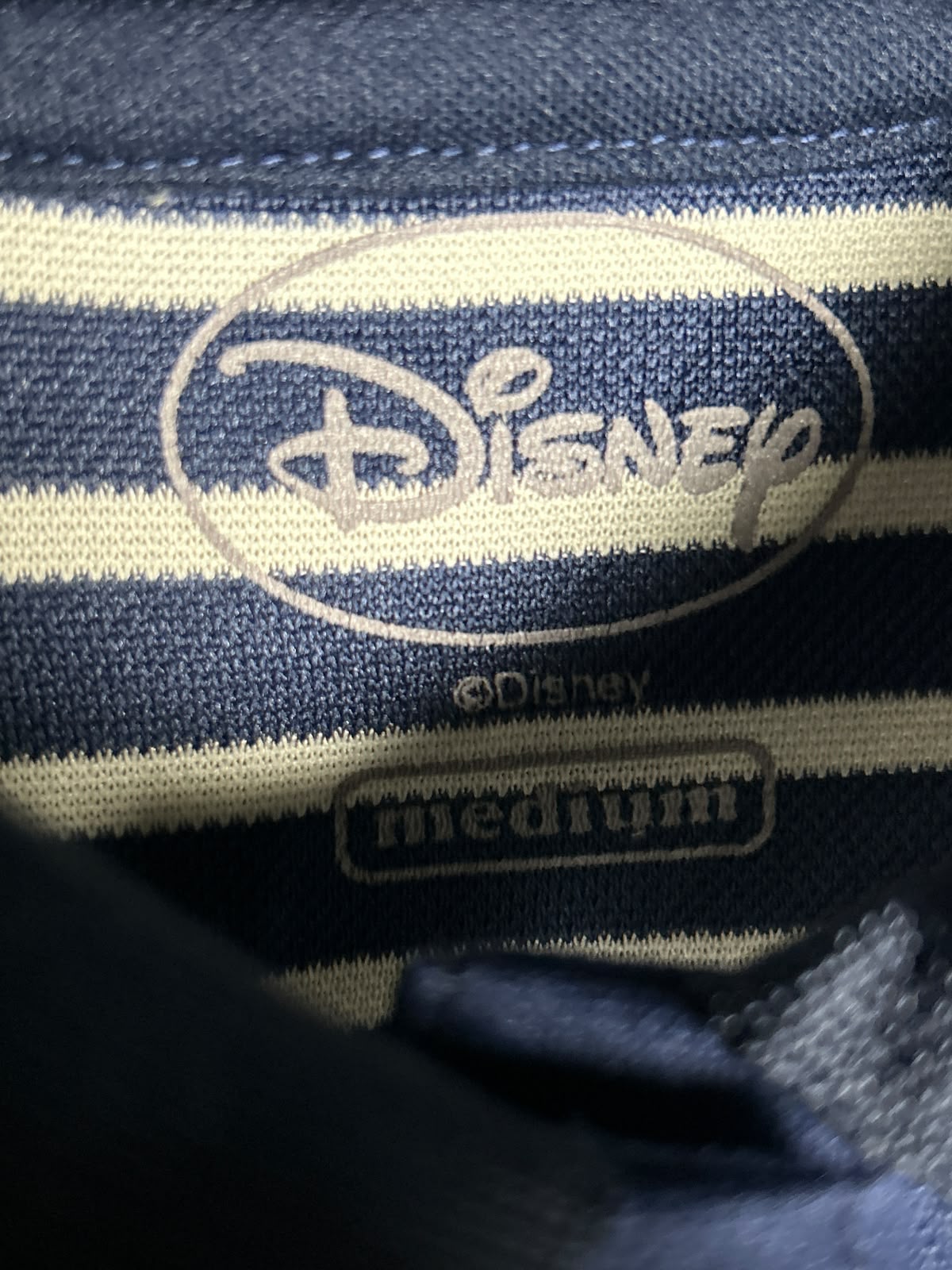Disnep Polo Striped - Medium